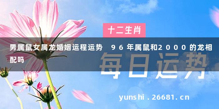 男属鼠女属龙婚姻运程运势 96年属鼠和2000的龙相配吗